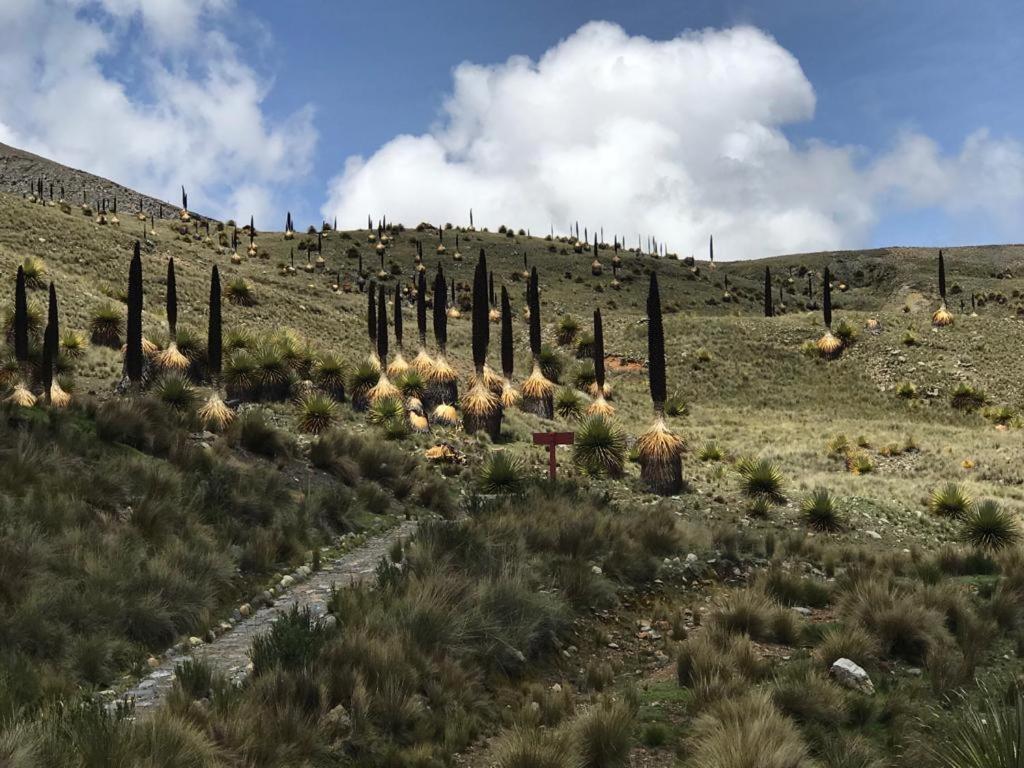 Amazing Huaraz Bed & Breakfast Exterior foto