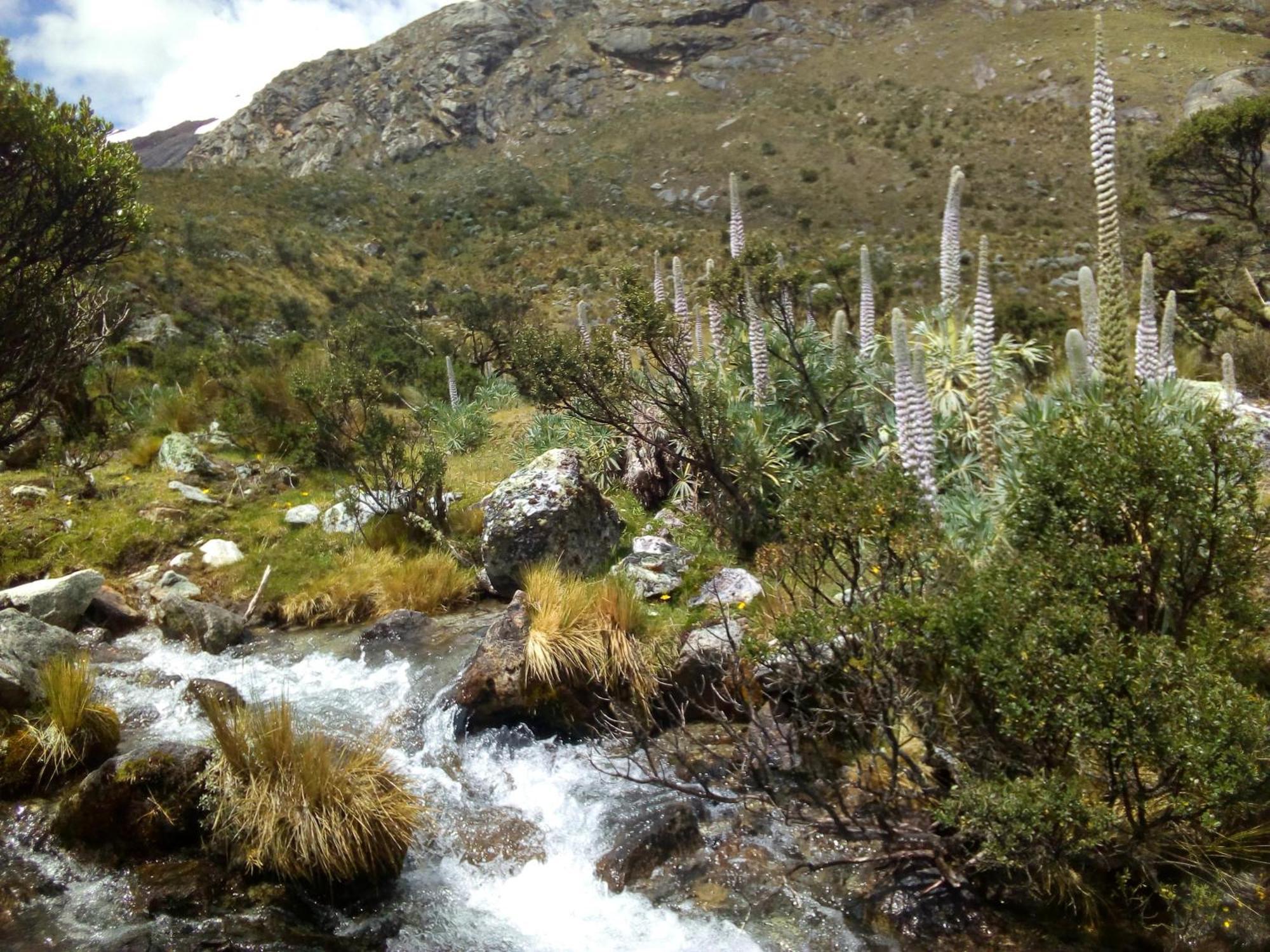Amazing Huaraz Bed & Breakfast Exterior foto