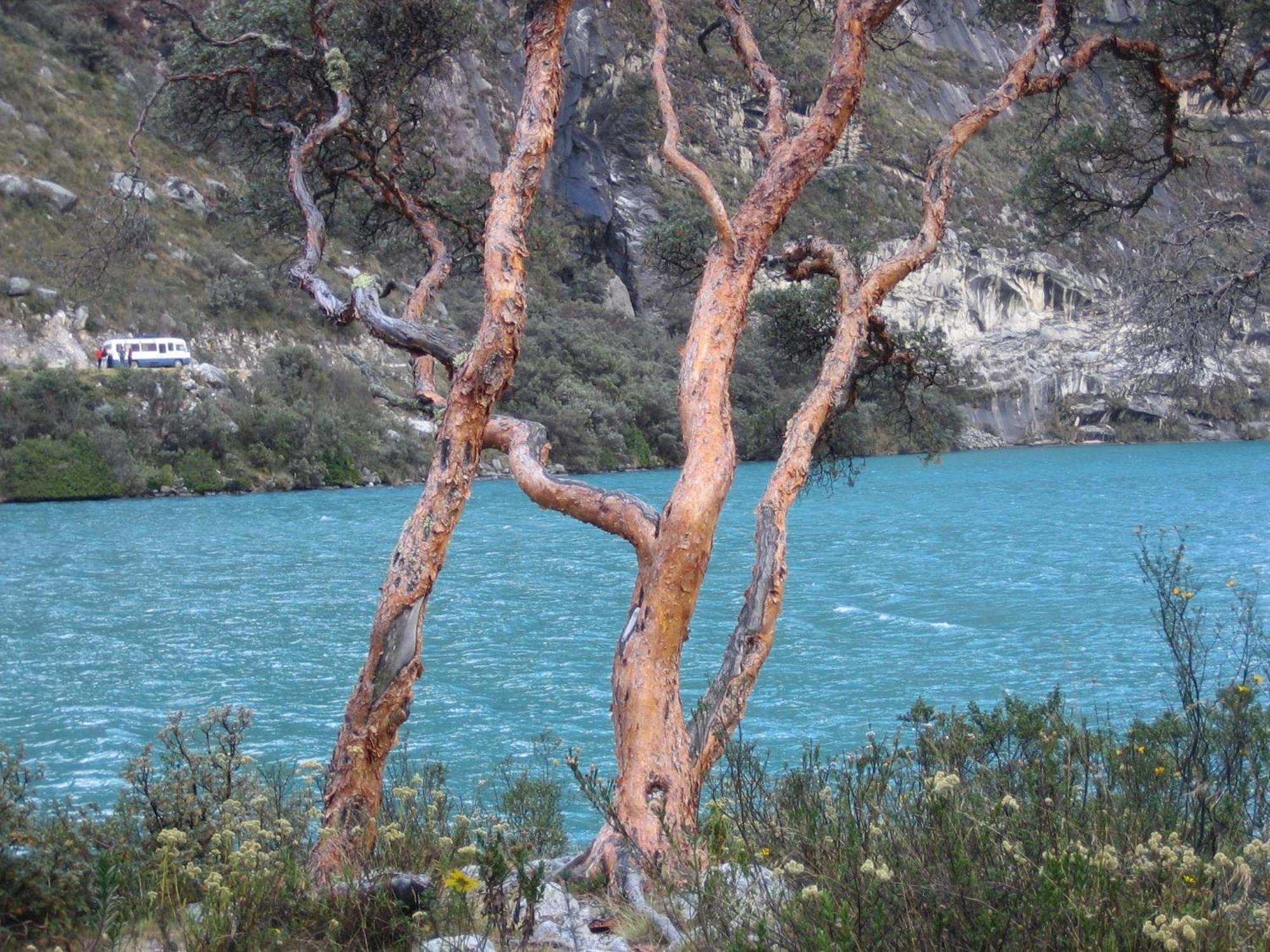 Amazing Huaraz Bed & Breakfast Exterior foto